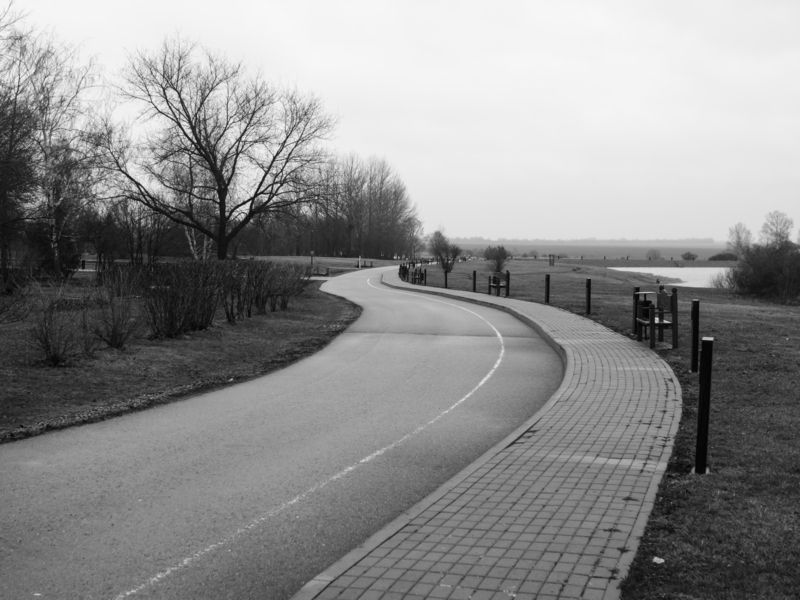 куликово поле 1 Куликово поле фото превью