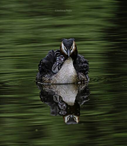 Мать и дитя