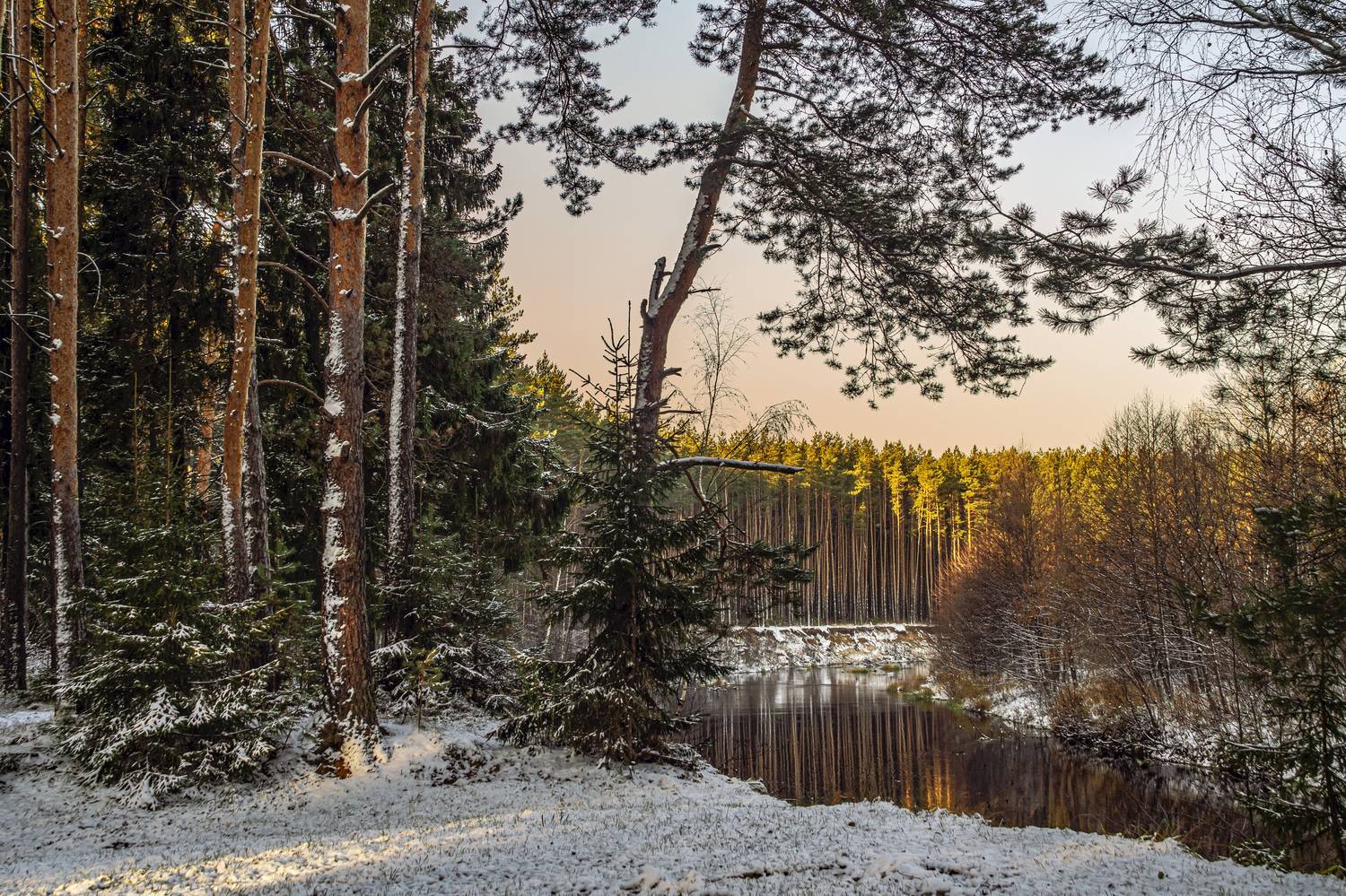 , Шитов Александр