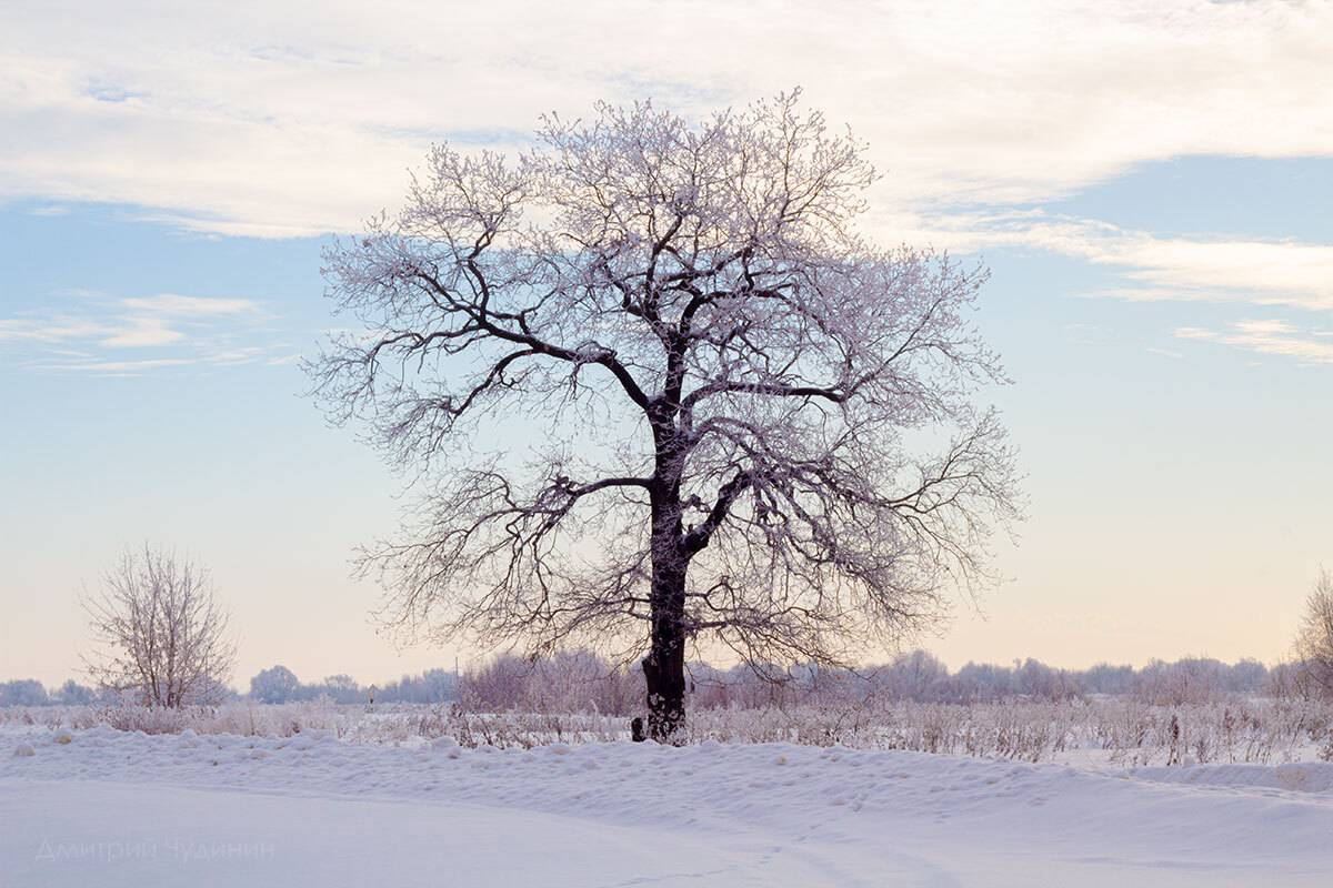 , Чудинин Дмитрий