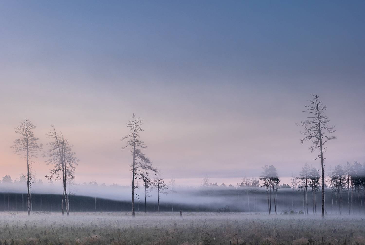 , Гордон Николай