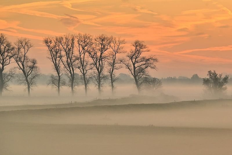 Morning fog. фото превью