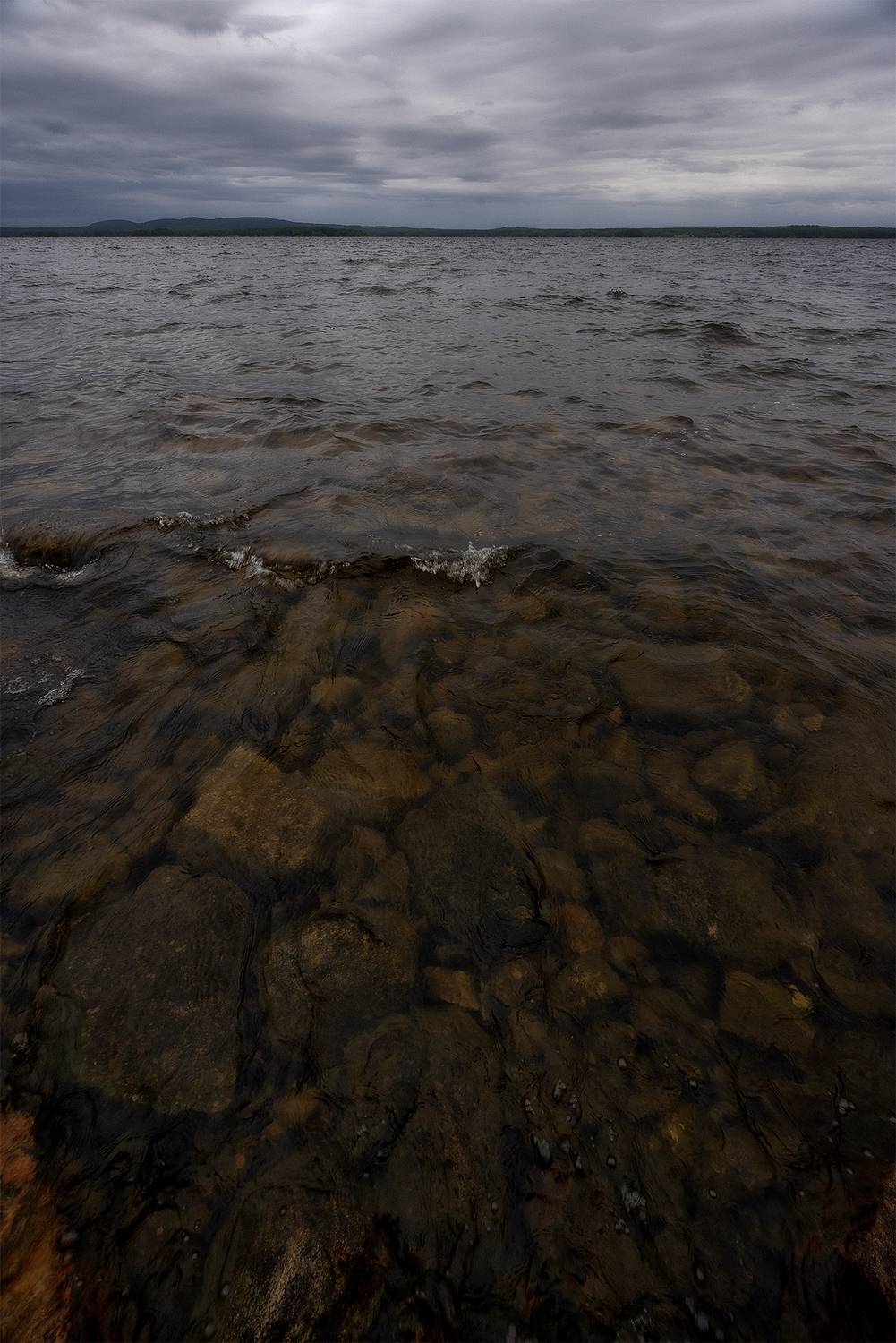 , Елена Михайлова