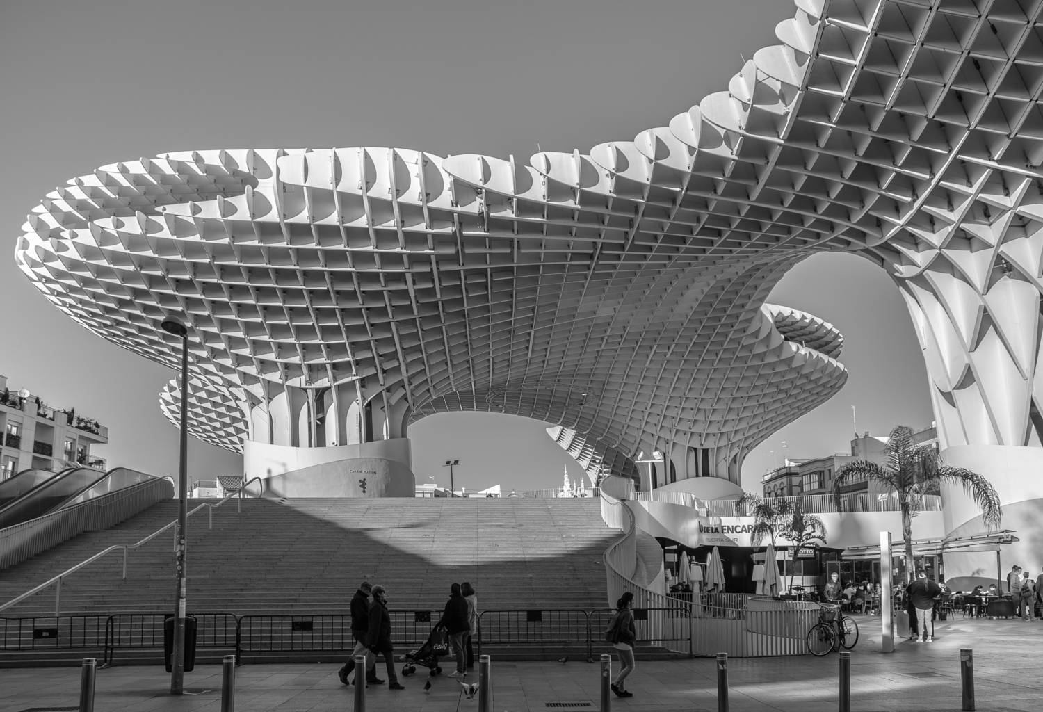 , Трепольский Дмитрий