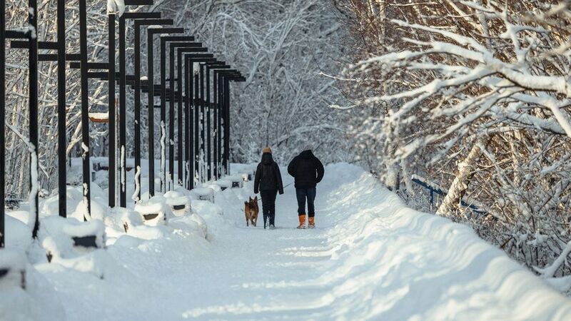 камчатка, снегопад, елизово, городской парк На Камчатке зима фото превью