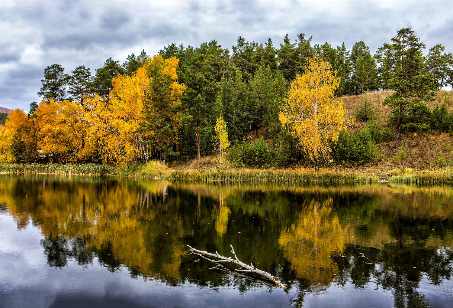 , Ушаков Валерий