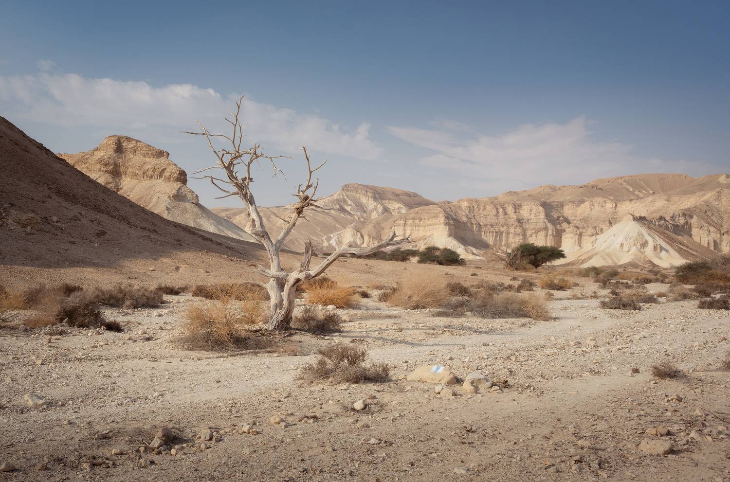 , Konstantin Kalinin