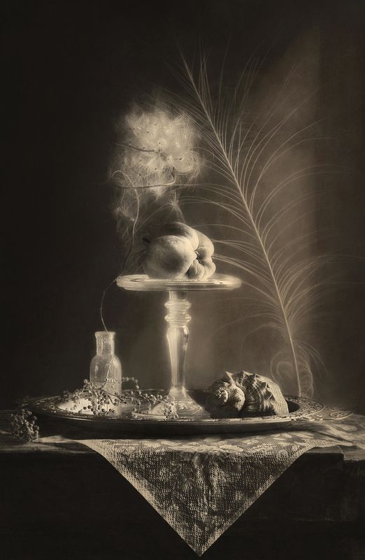 натюрморт, монохром, настроение, яблоко, still life Баловень судьбы  фото превью