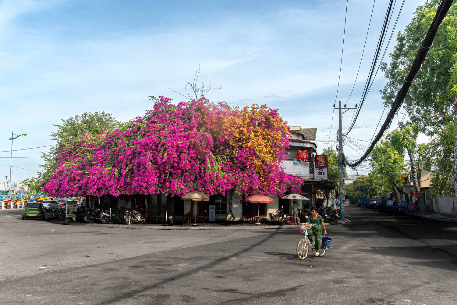phanthiet vietnam soldier bicycle characteristic bougainvillea seawall, Do Trung