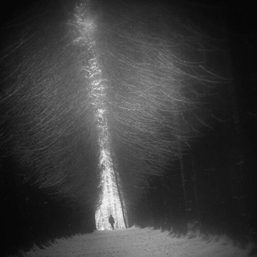 Первый наст в последний месяц.