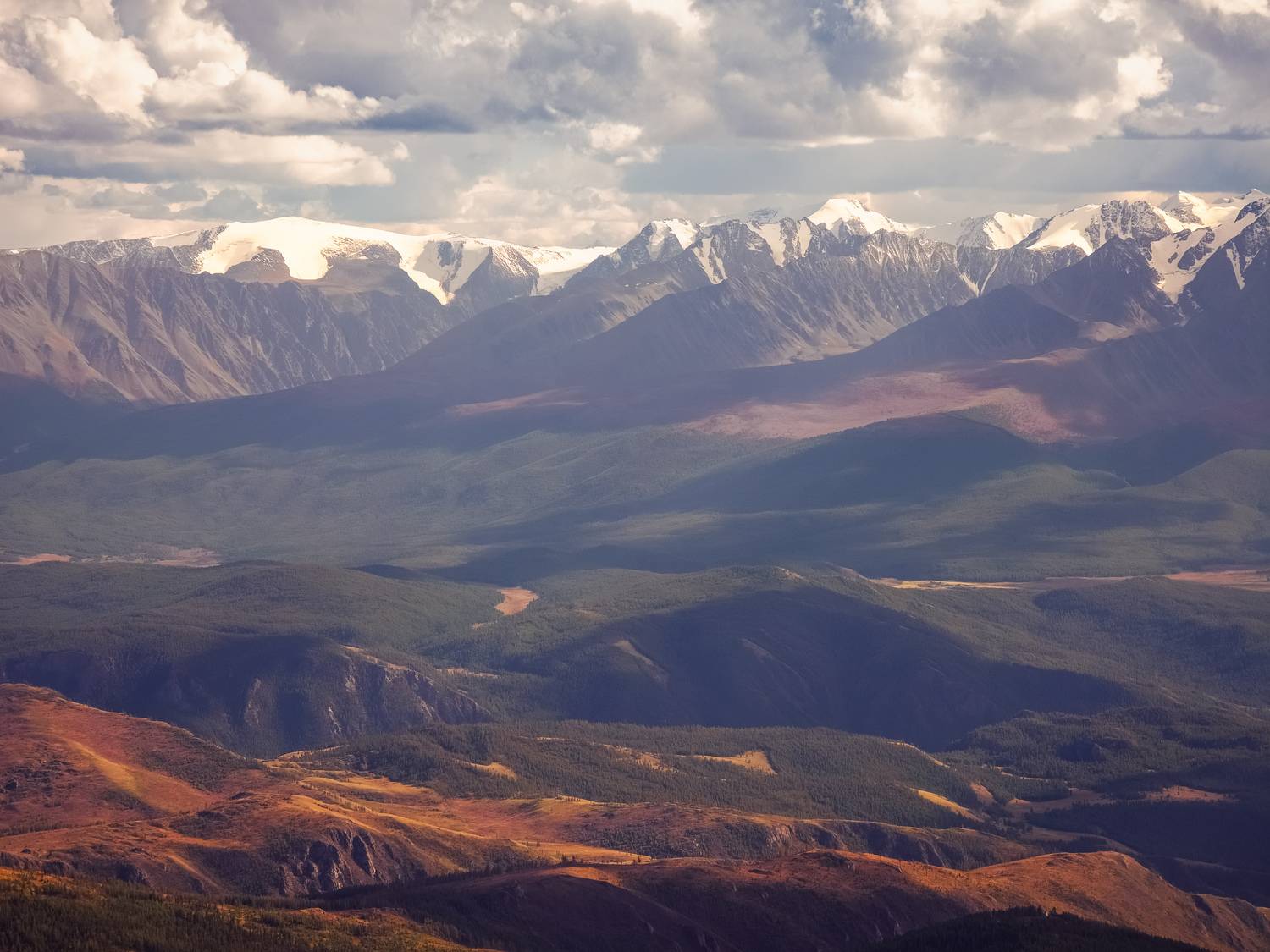 , Игорь Кабанов