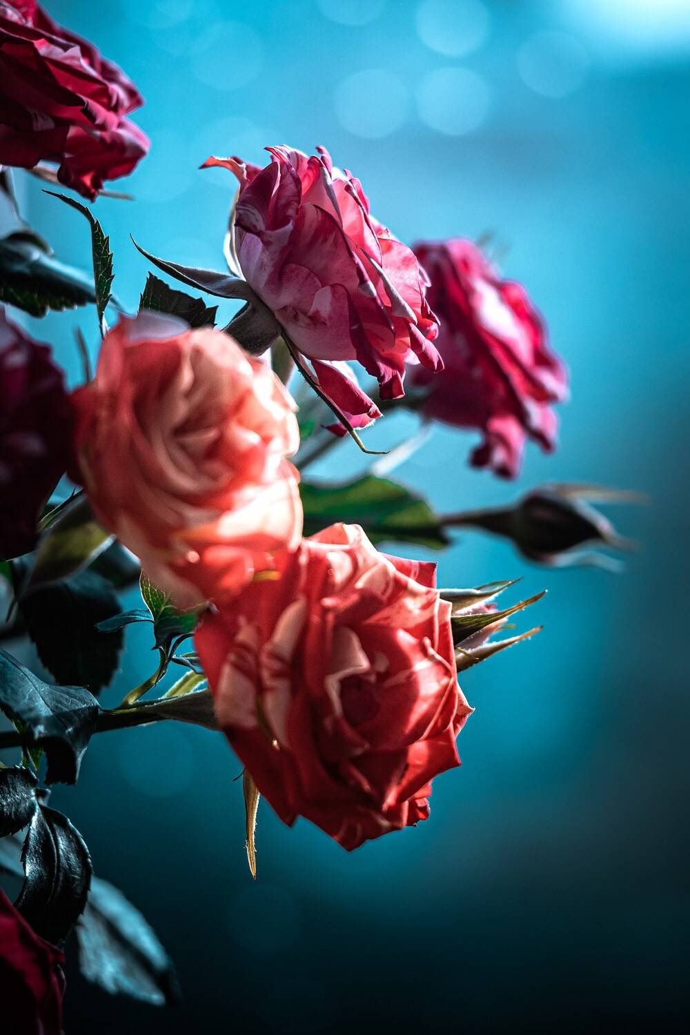 , Сергей Белокуров