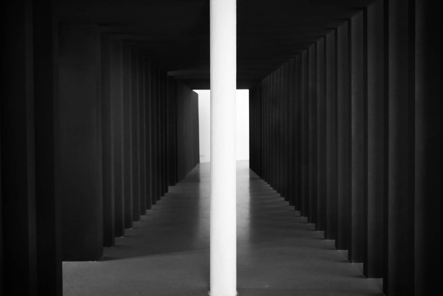 перпендикуляр, геометрия, линия, разделение, Зорин Миша