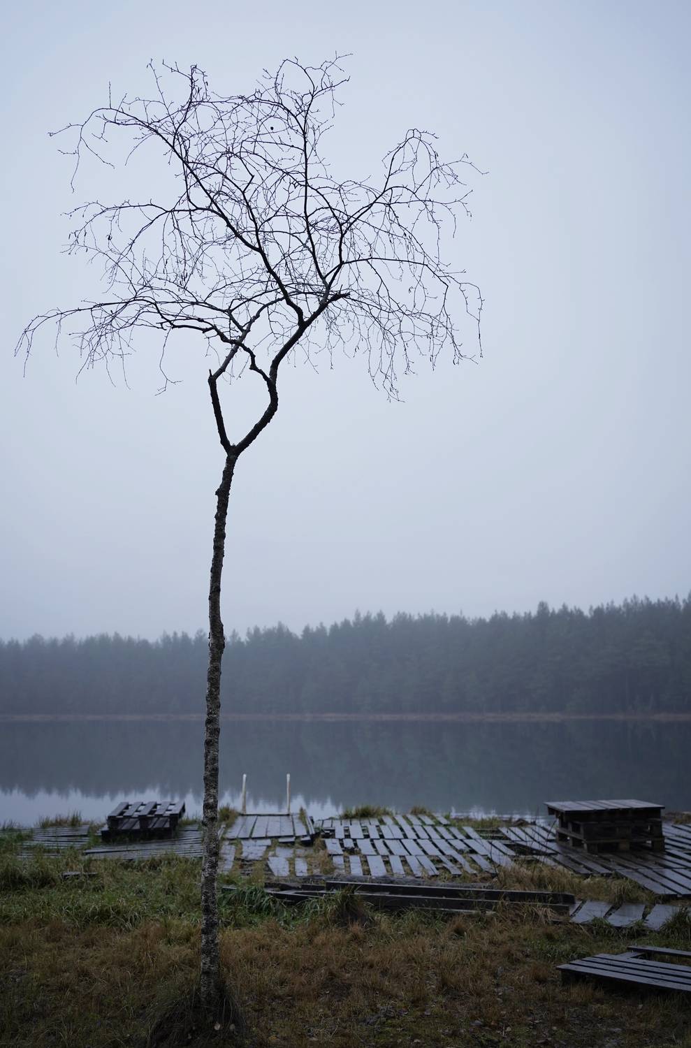 , Алёна Таланова