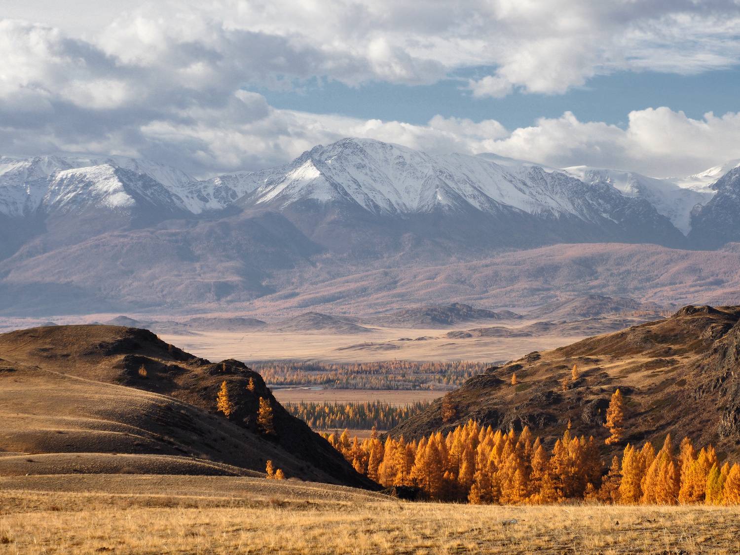 алтай, горный алтай, республика алтай, курай, северо-чуйский хребет, Галина Хвостенко