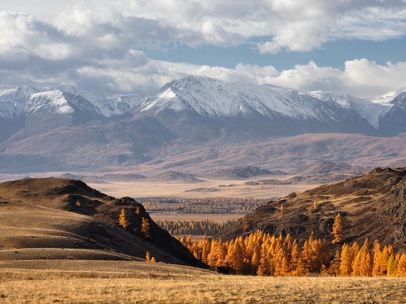 алтай, горный алтай, республика алтай, курай, северо-чуйский хребет Осенние воспоминания фото превью