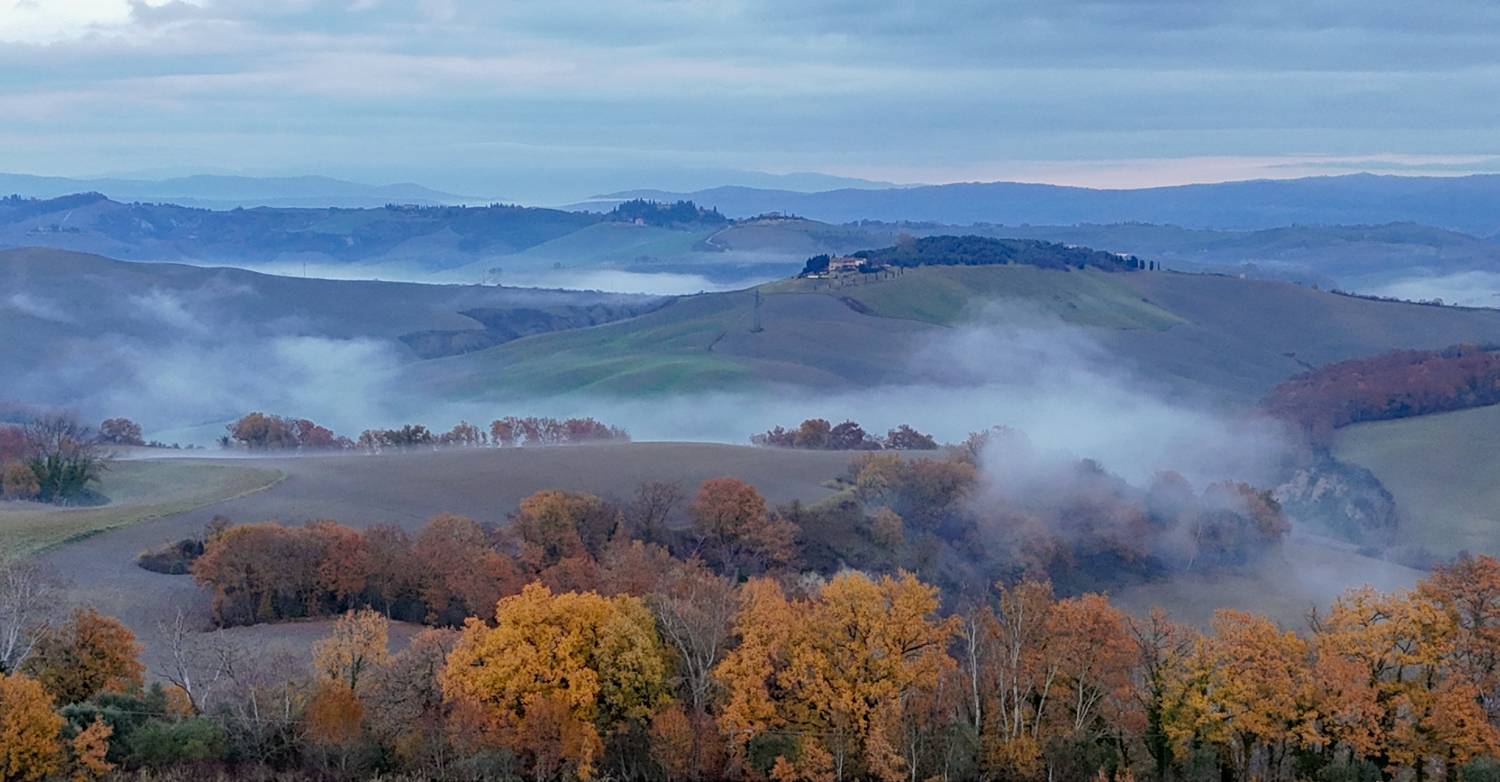 , Дария Максимова