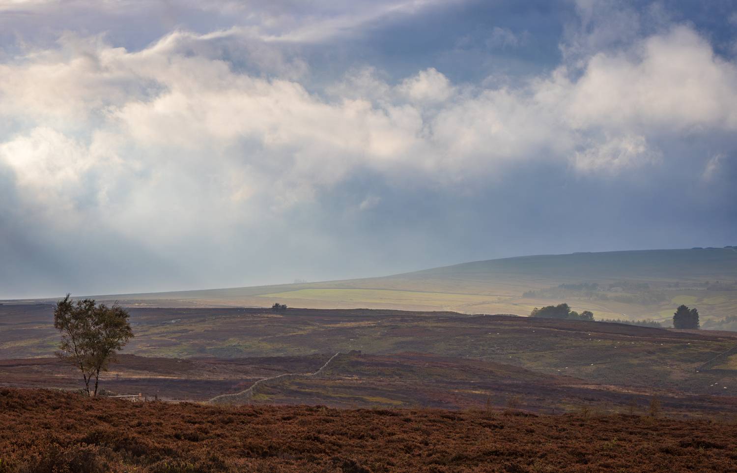 , Алекс Римский