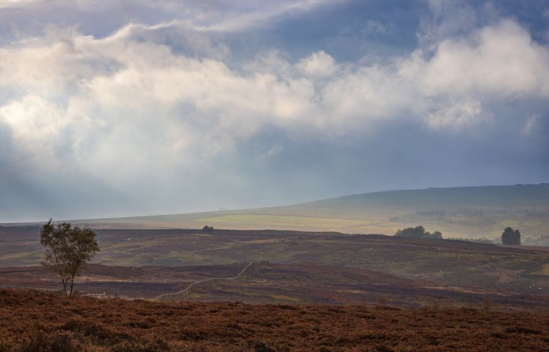 Осеннее небо фото превью