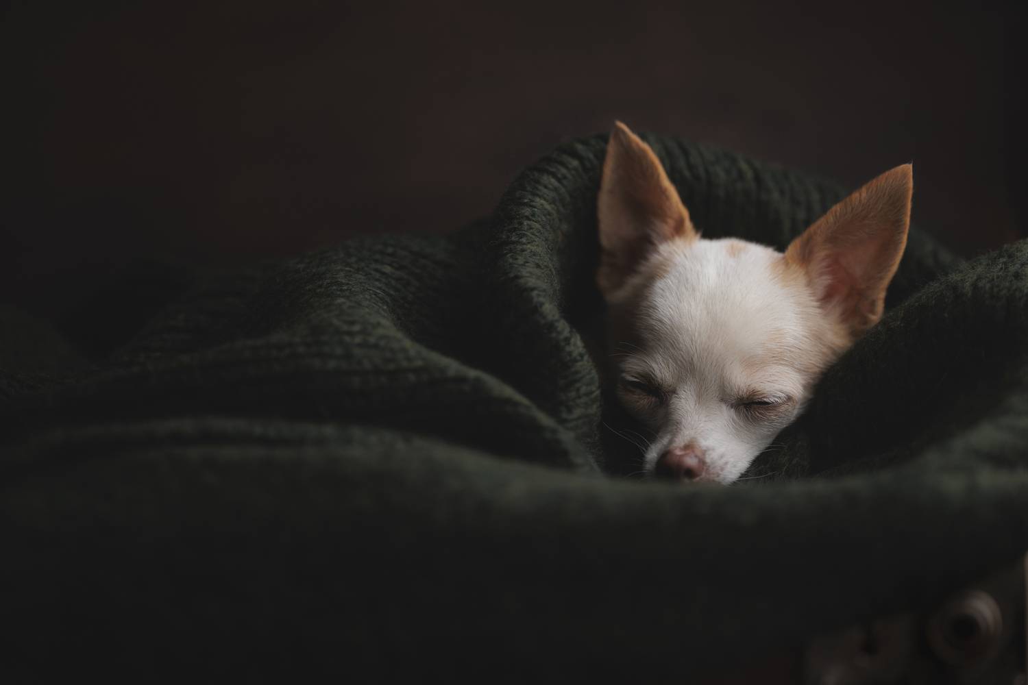 , Калинина Анна