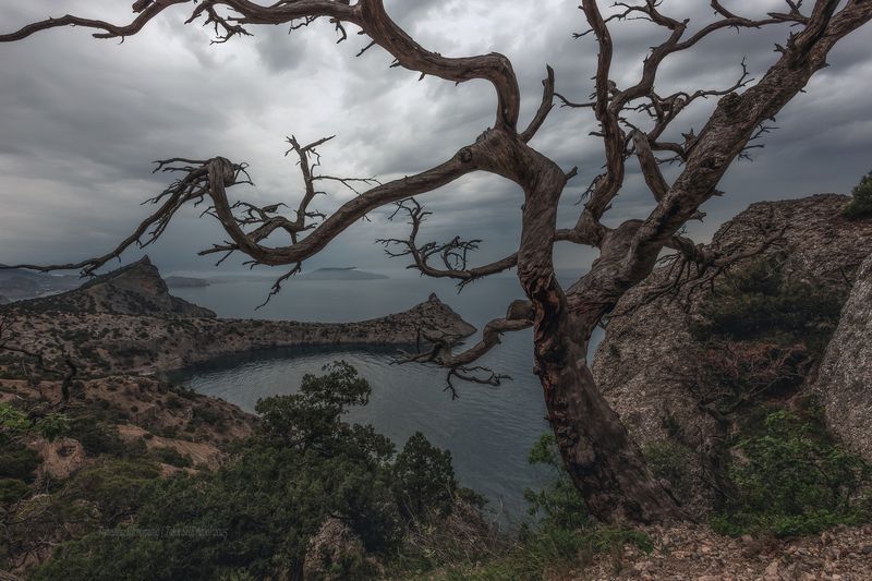крым, новый свет, судак, пейзаж, горы, море, landscape, crimea, крымский пейзаж Межсезонье в Новом Свете фото превью