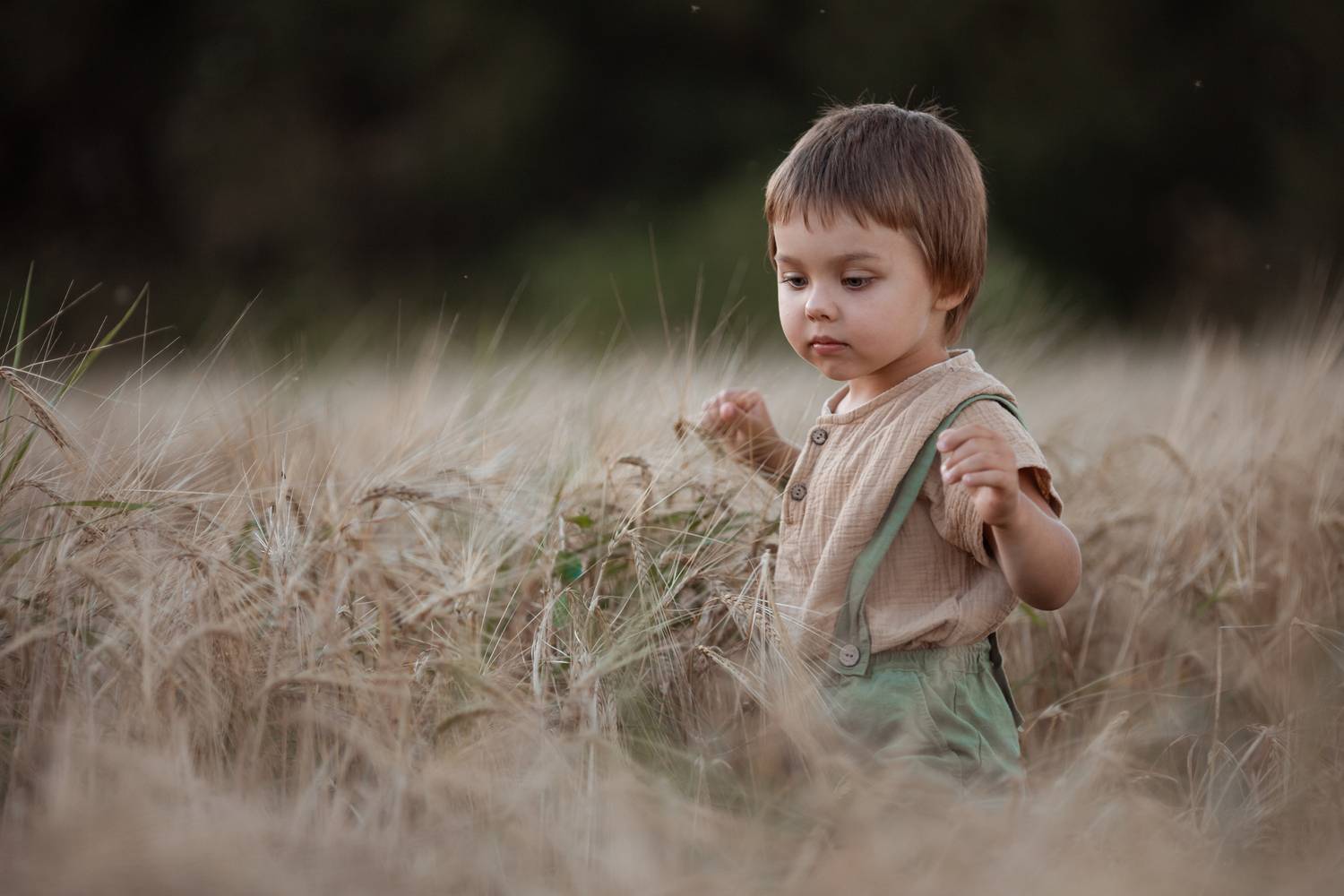 kids children brother sister rye summer august harvest, Воробьёва Надежда