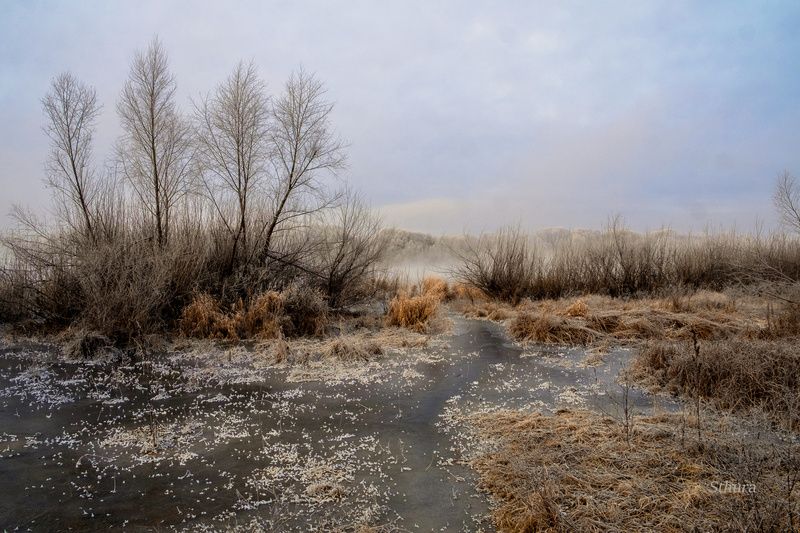 осень мороз лед иней туман природа пейзаж В ноябре. фото превью
