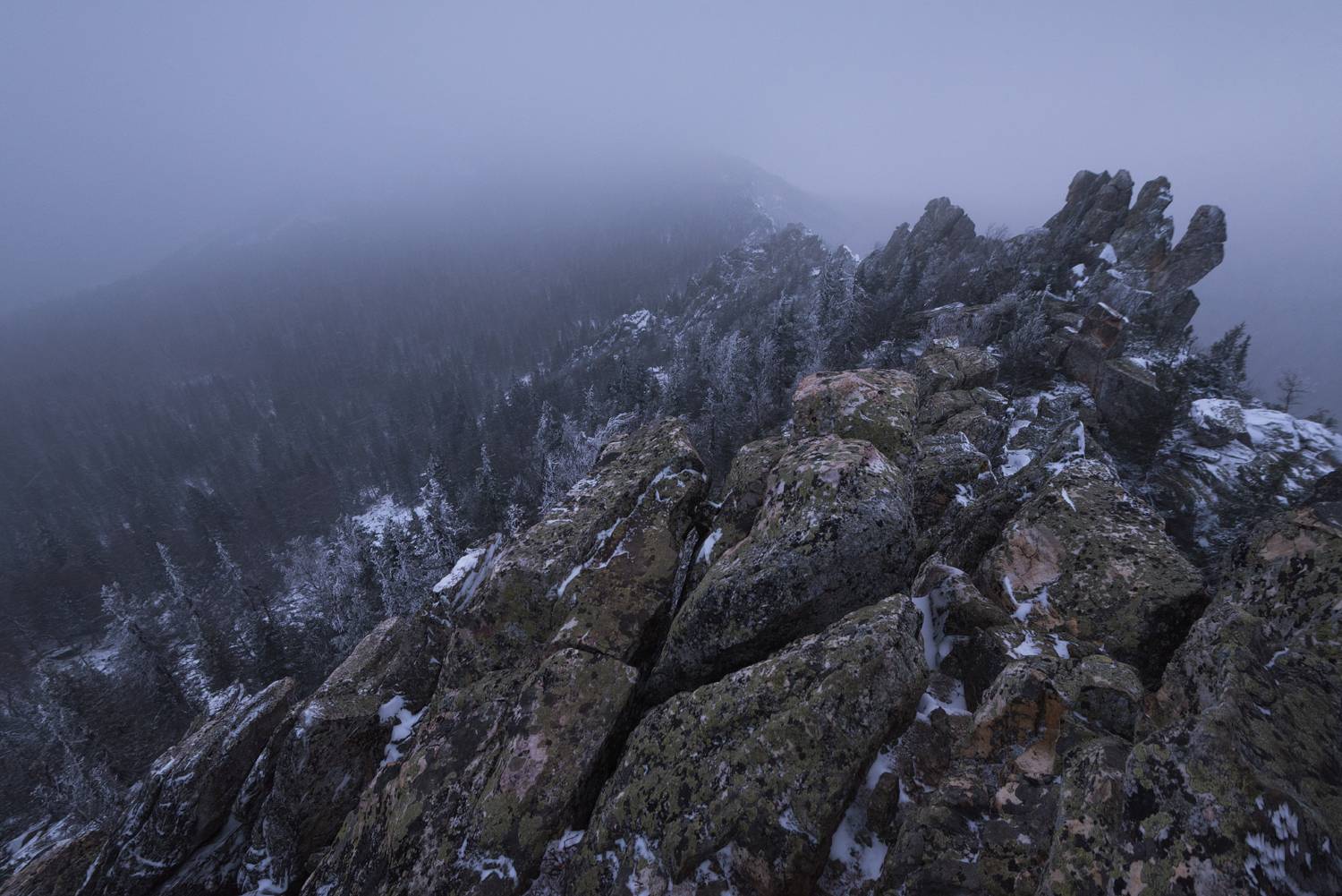 , Алексей Проняхин