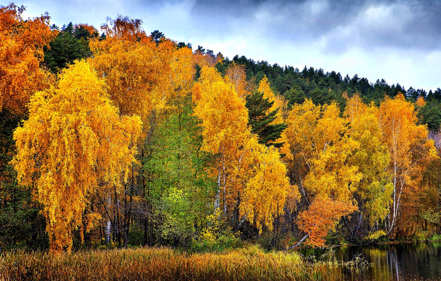 , Ушаков Валерий