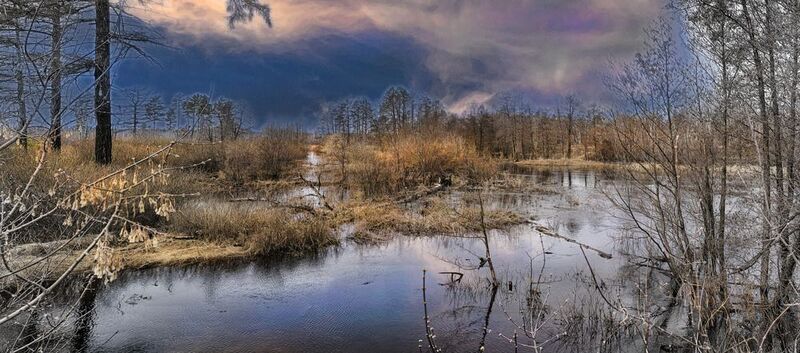 Зауралье фото превью