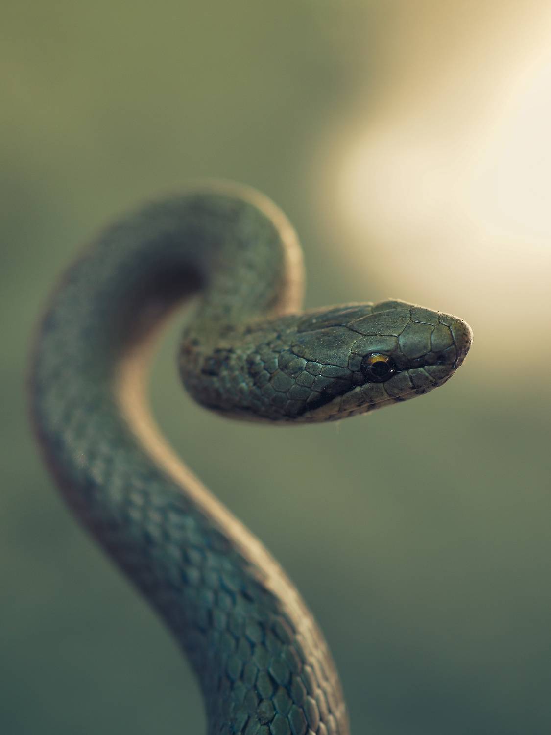 , Юрий Говорков