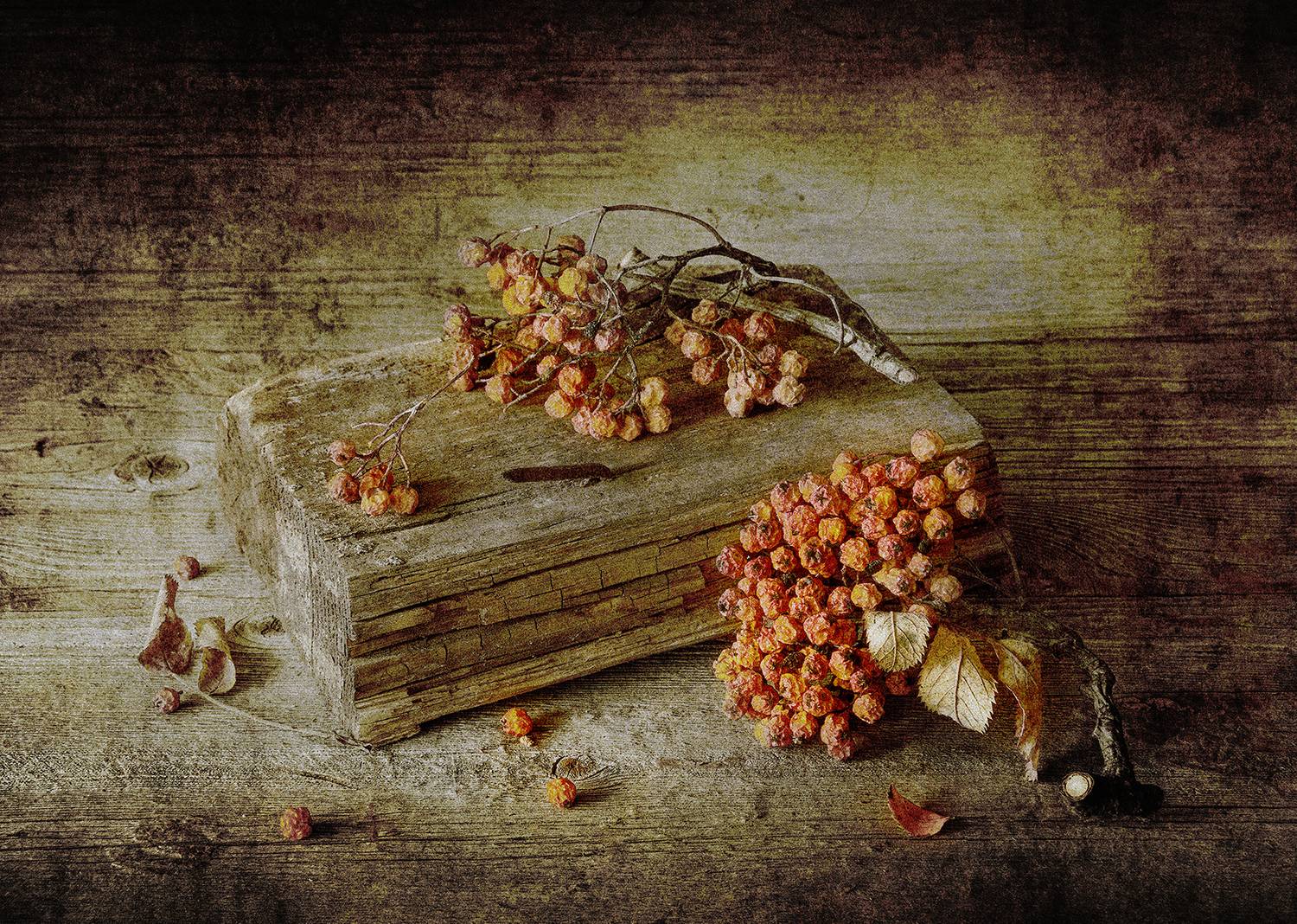 рябина, ягоды, кисти, красные, дощечка, гвоздь, Алексей Бычков