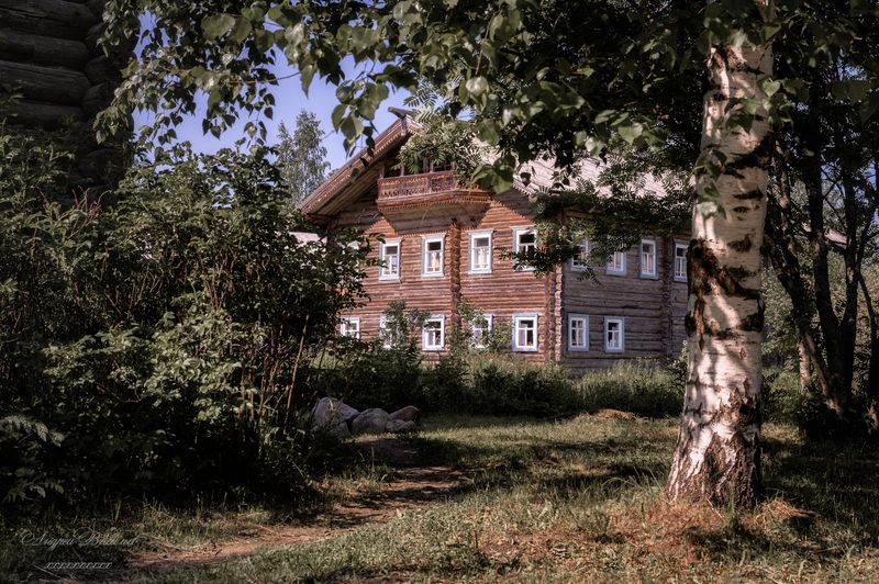 деревенский пейзаж, домик в деревне, бревенчатый дом Хорошо в деревне летом фото превью