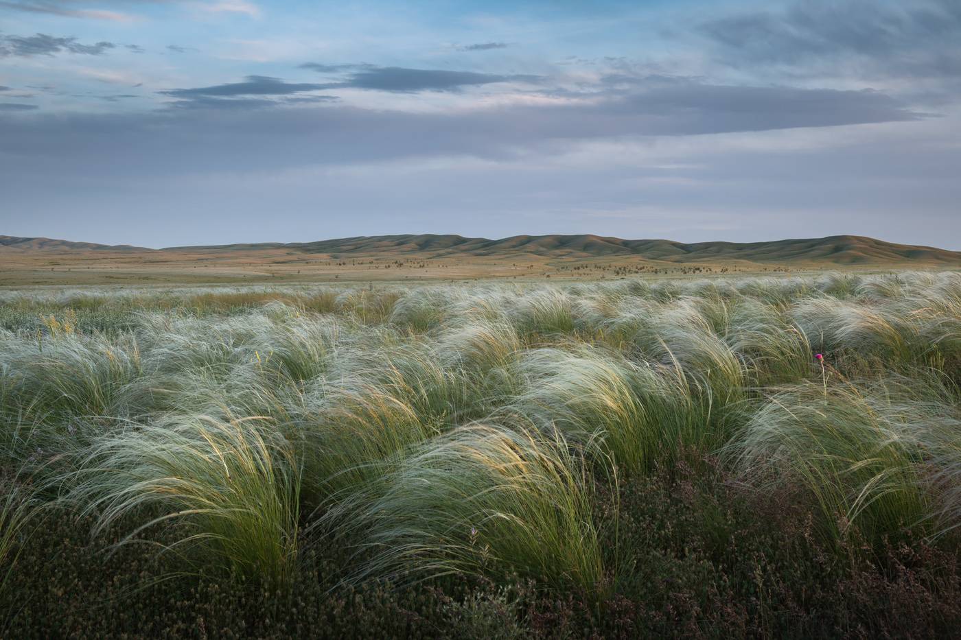 оренбуржье, долгие горы, урал, степь, степной пейзаж, оренбургская область, карамурунтау, ковыль, Арсений Кашкаров
