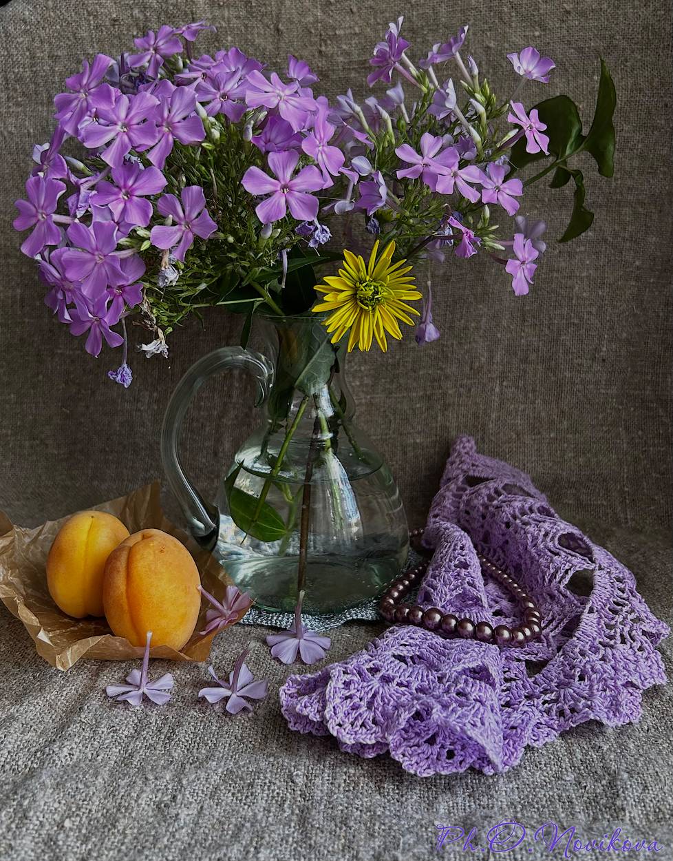 , Новикова Ольга