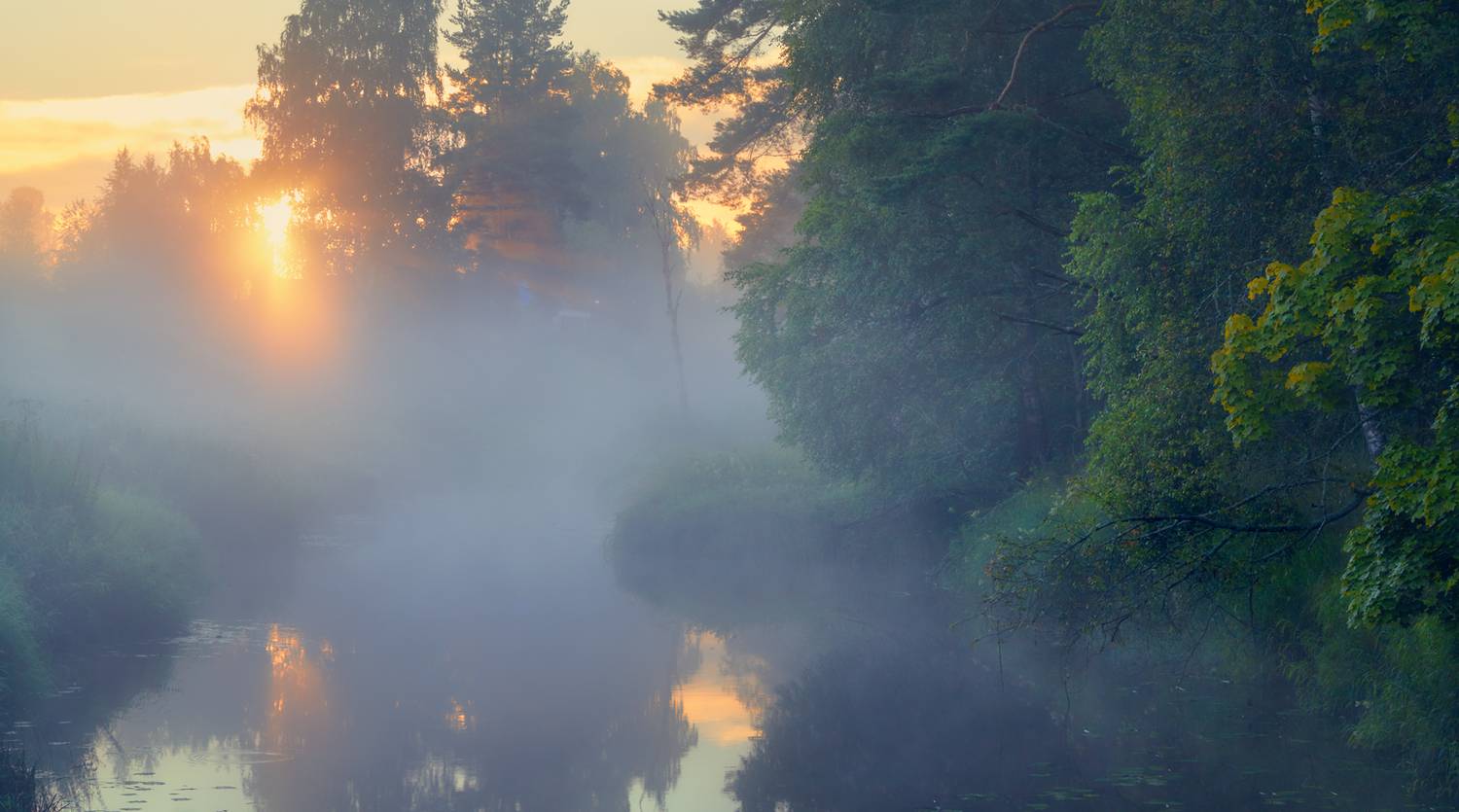 , Роман Лушпа