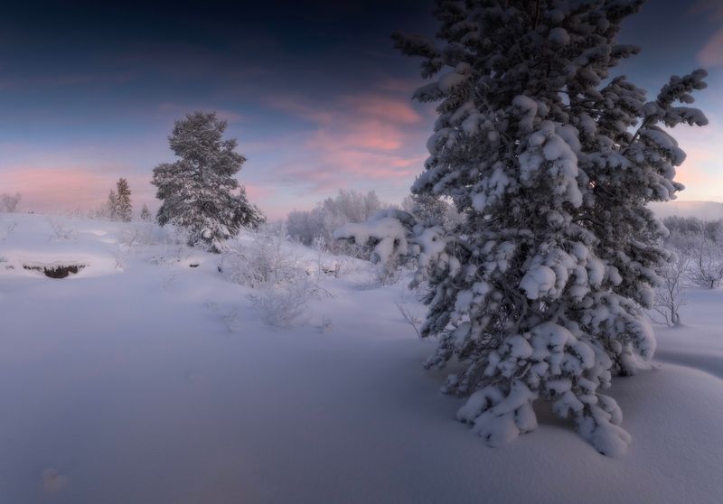 Первые морозы в полярную ночь фото превью