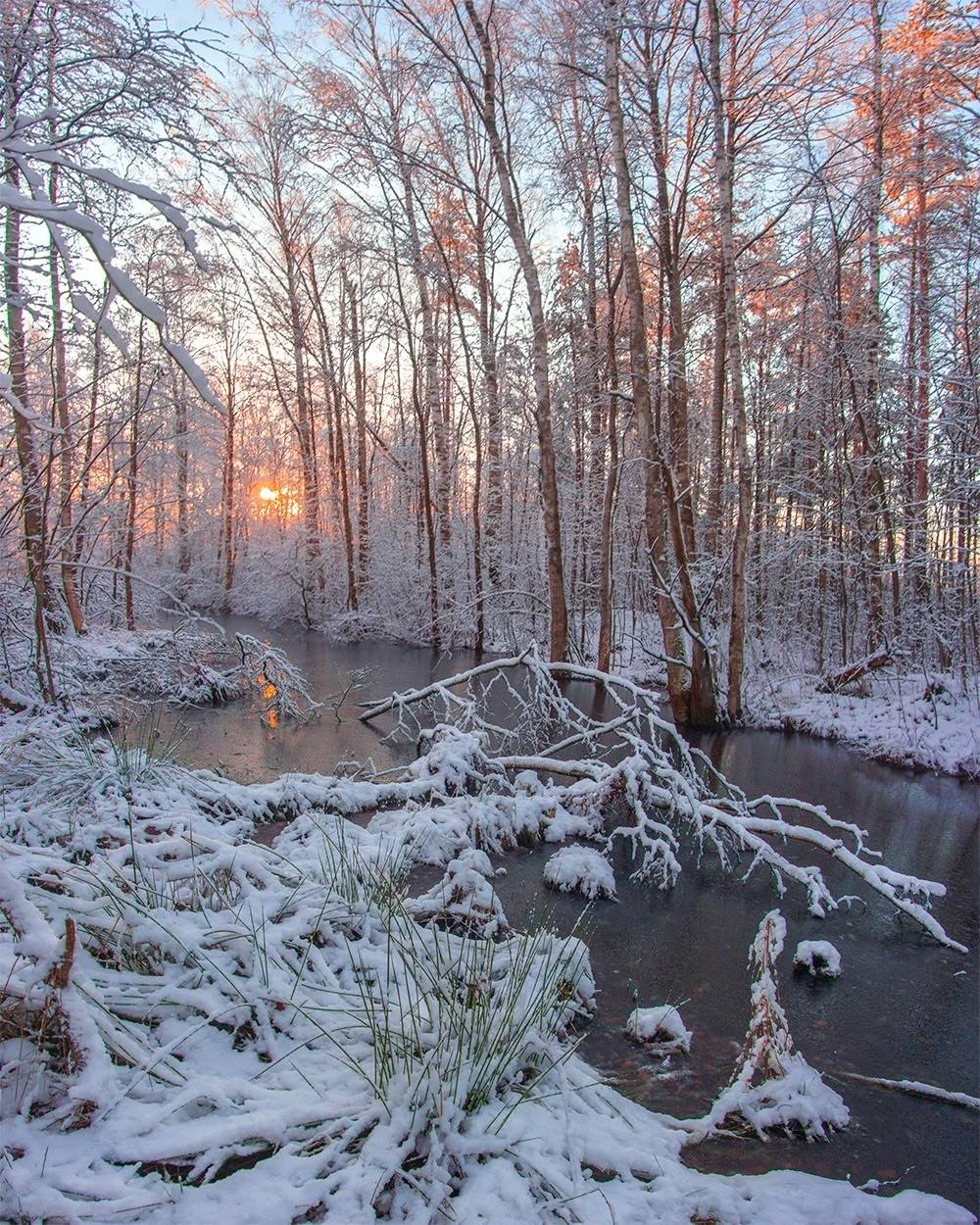 , Петр Косых