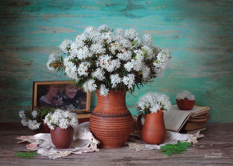 букет, багульник, керамика, кувшин, книги, шкатулка, салфетки 60-е фото превью