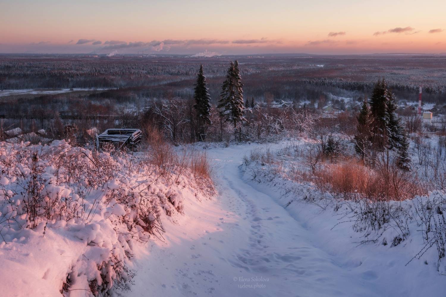 зима, вечер, закат, снег, пейзаж, Елена Соколова
