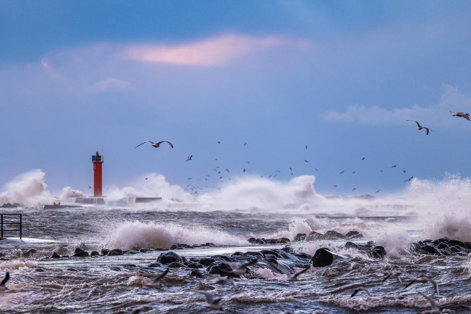 , Гордон Николай