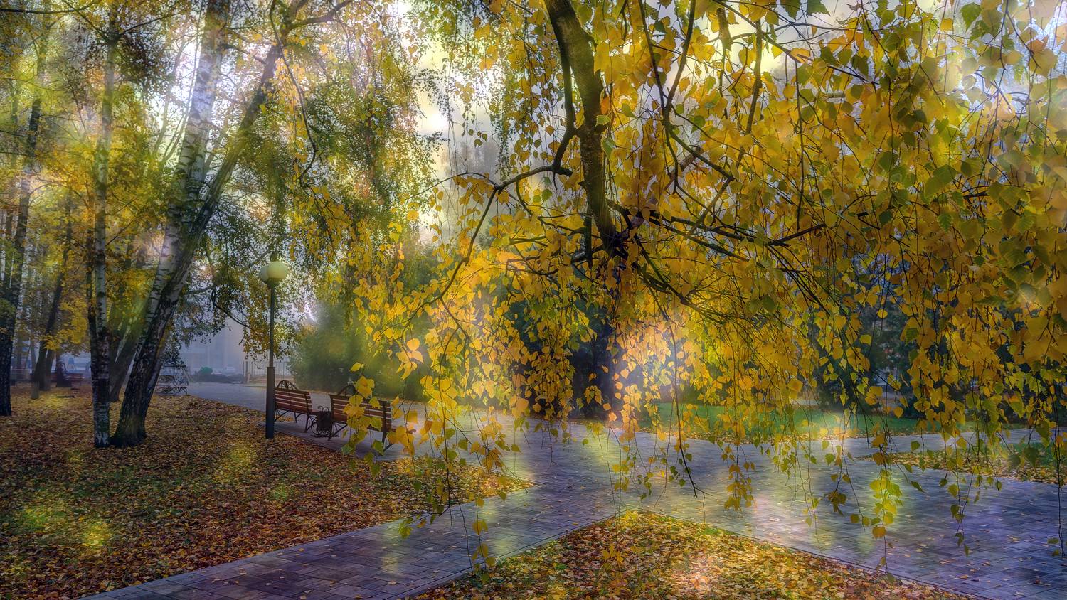 , Каменев Виталий