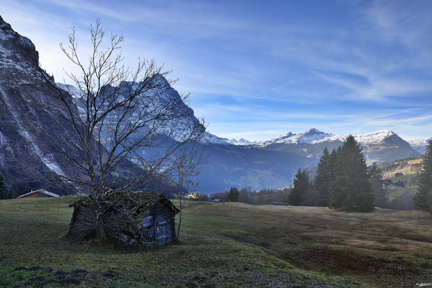 swiss, Матвеев Николай