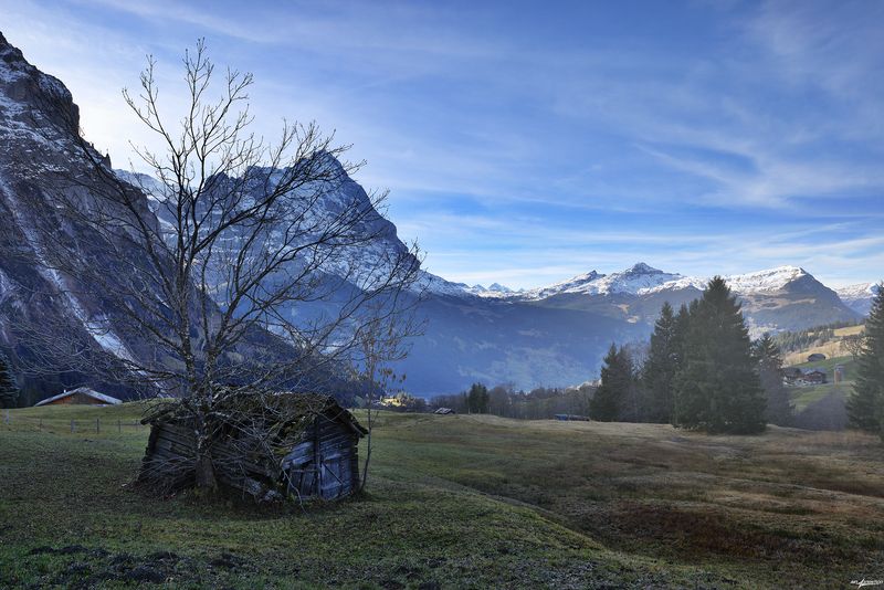 swiss Этот зыбкий мир... фото превью