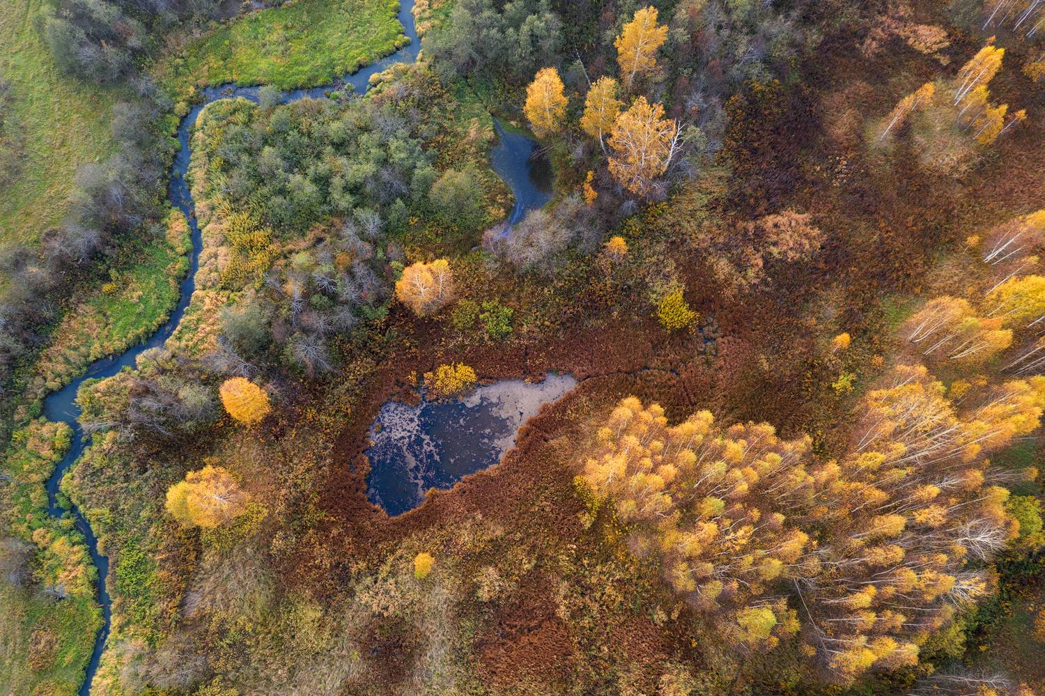осень, россия, московская область, аэрофотосъемка, пейзаж, Олеся Боева
