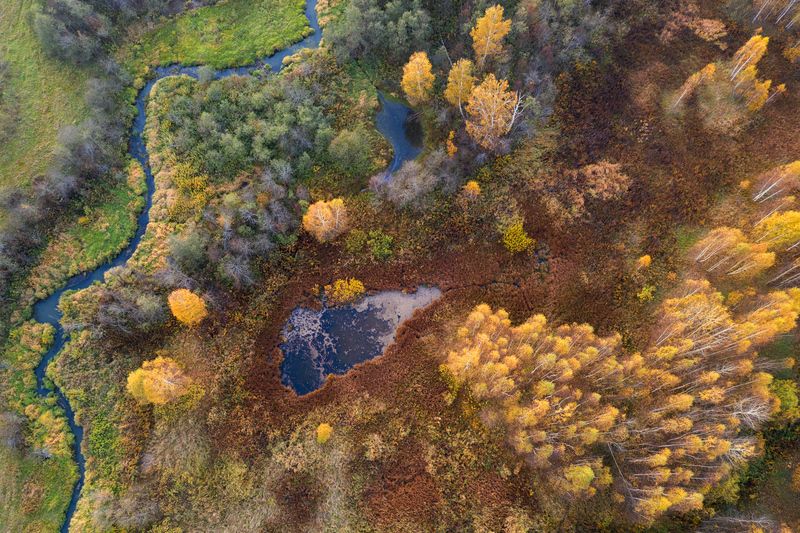 осень, россия, московская область, аэрофотосъемка, пейзаж Краски осени фото превью
