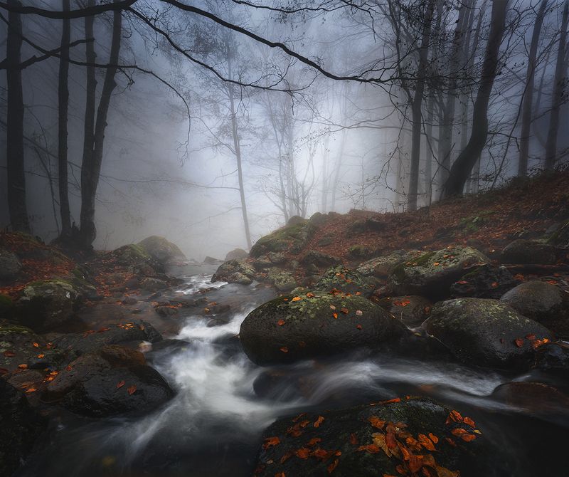 landscape nature scenery forest wood autumn mist misty fog foggy river longexposure mountain rocks vitosha bulgaria Late, downstream фото превью
