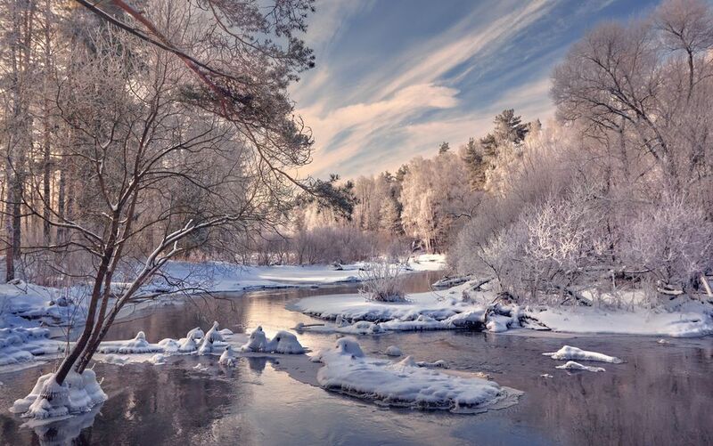 В царстве белом ... фото превью