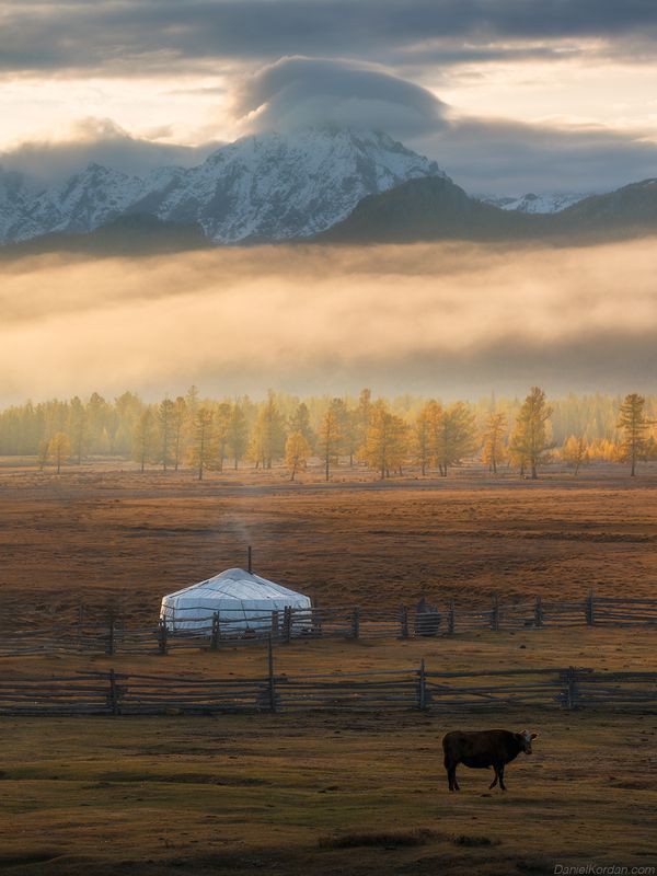 Mongolia Tsaatan