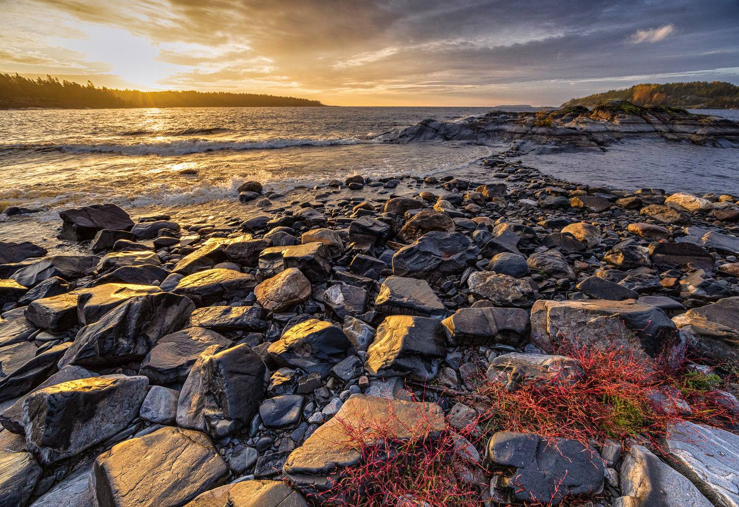 , Критский Игорь